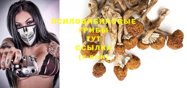 молекула духа Медвежьегорск