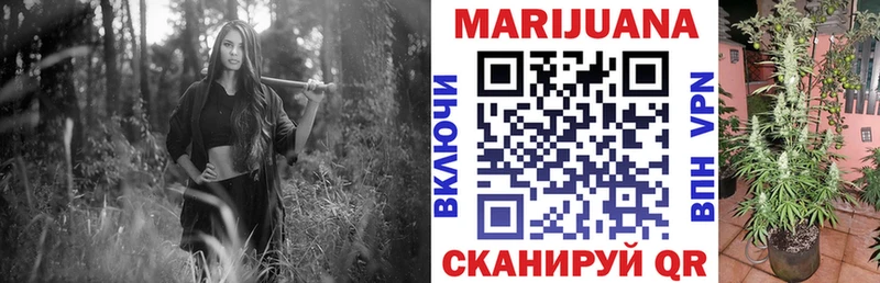 гидра рабочий сайт  продажа наркотиков  Мурманск  Канабис White Widow 